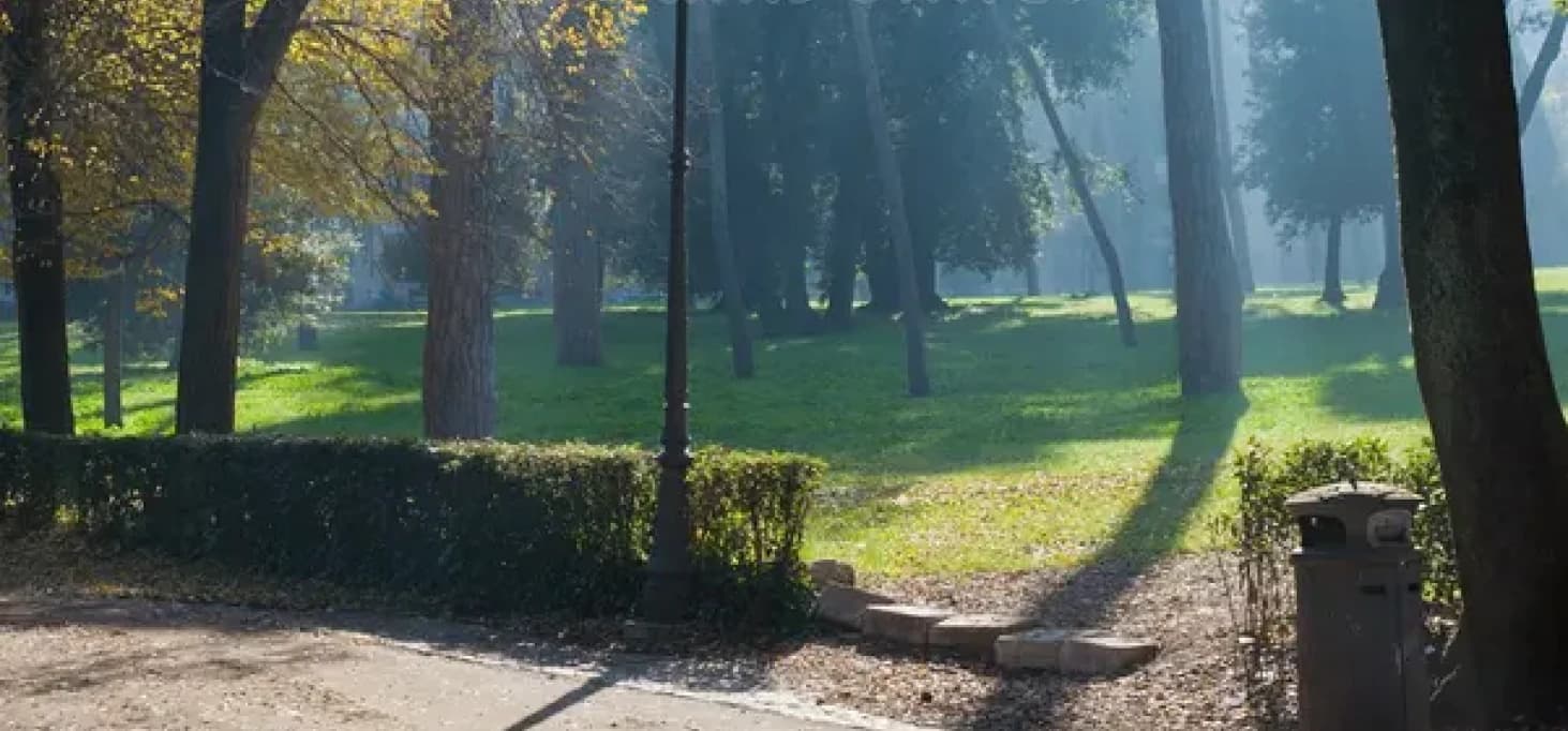 A walking path through a green park with trees and grass.